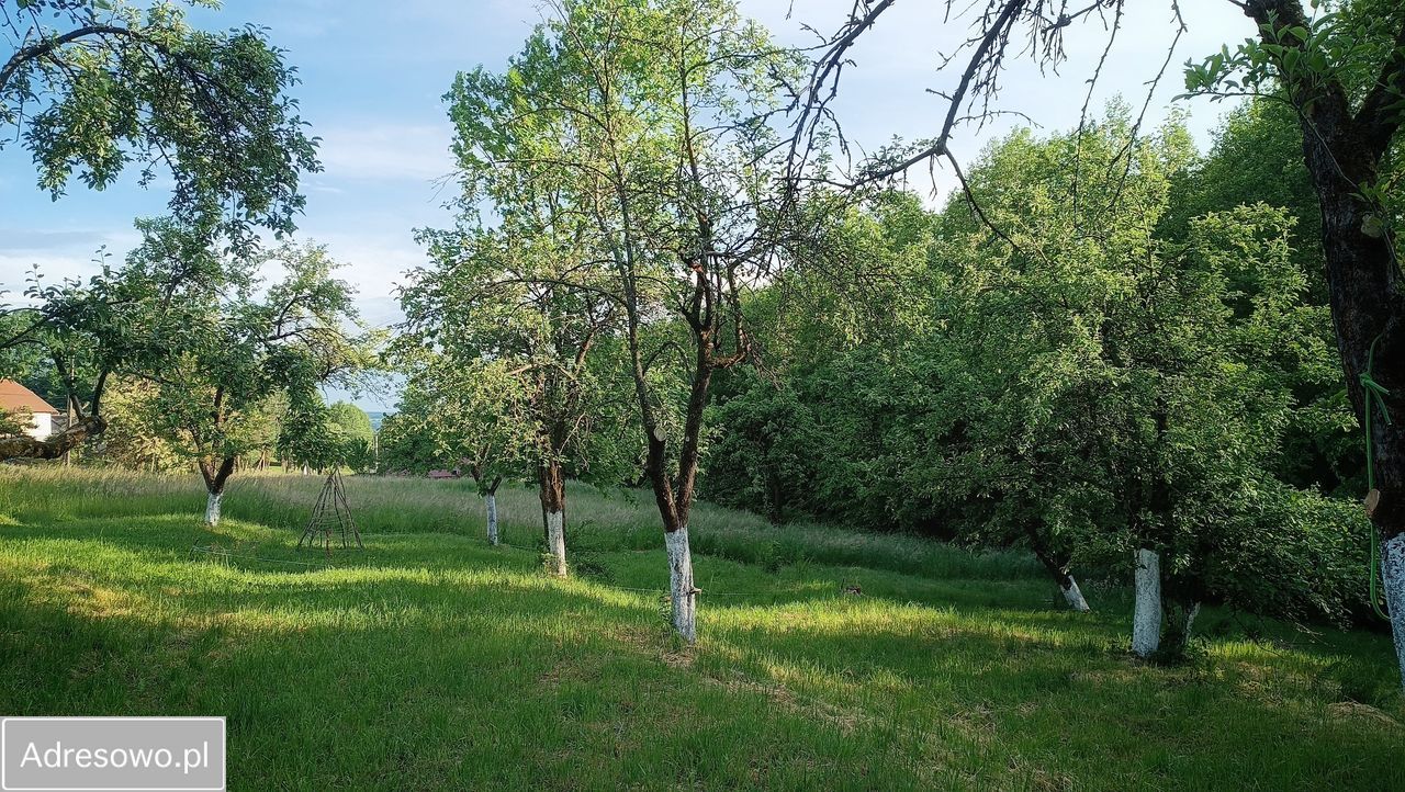 Działka rolno-budowlana Bierówka. Zdjęcie 10