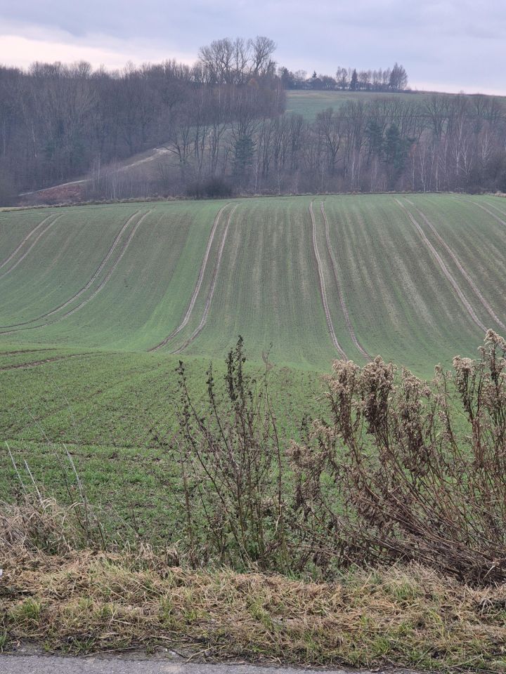 Działka siedliskowa Minoga. Zdjęcie 4