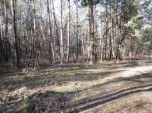 Działka rekreacyjna Widełka. Zdjęcie 4