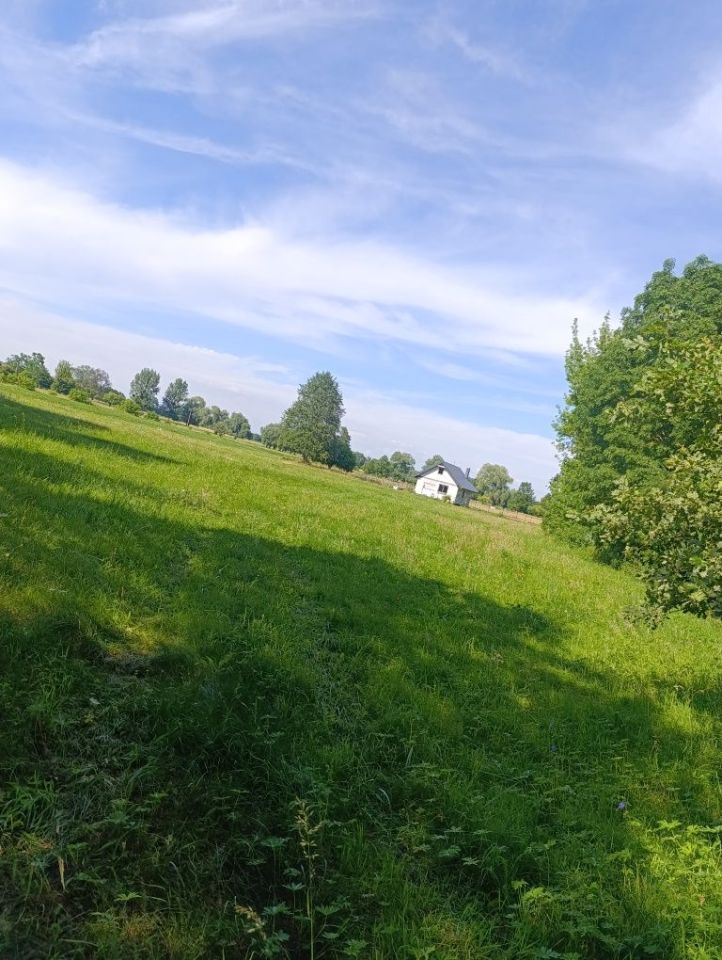 Działka budowlana Rojewice. Zdjęcie 4