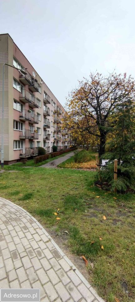 Mieszkanie 3-pokojowe Szczecin Centrum, ul. Miedziana. Zdjęcie 11