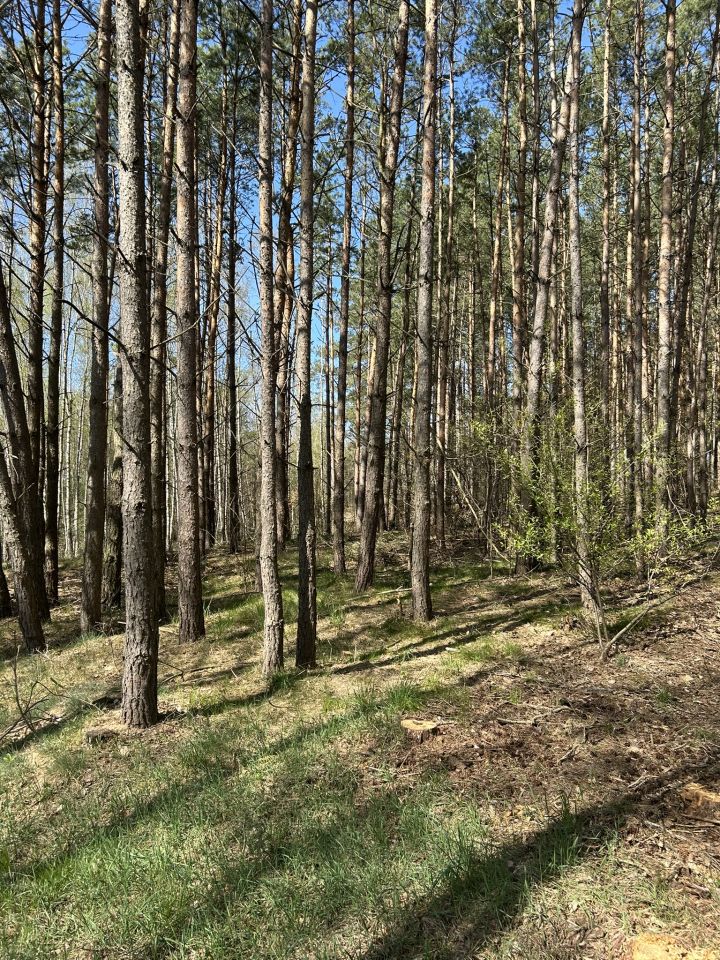 dom wolnostojący, 5 pokoi Blizawy, Blizawy. Zdjęcie 9