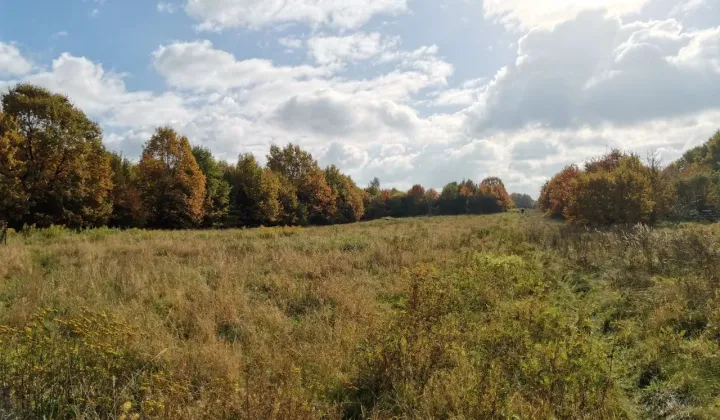 Działka budowlana Brzesko Słotwina, ul. Odrodzenia