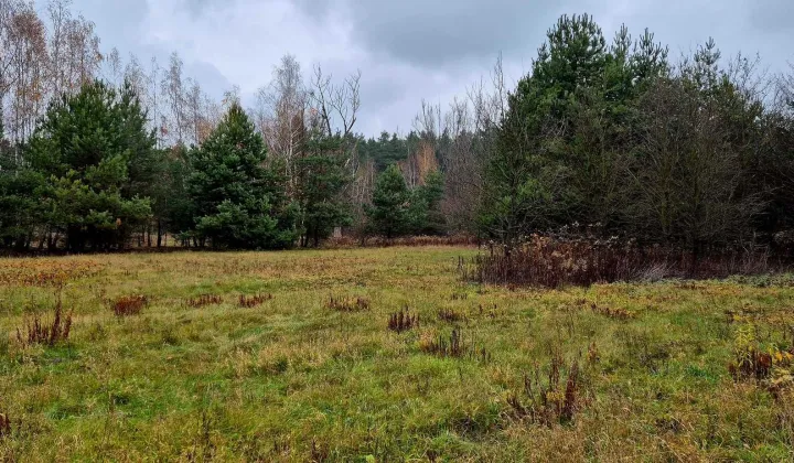 Działka budowlana Słupno