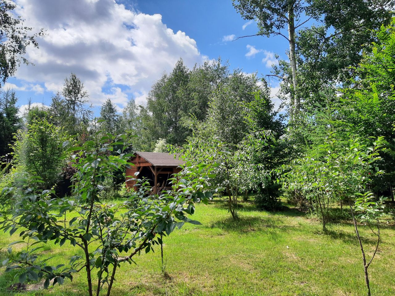 Działka budowlana Starzykowo. Zdjęcie 6