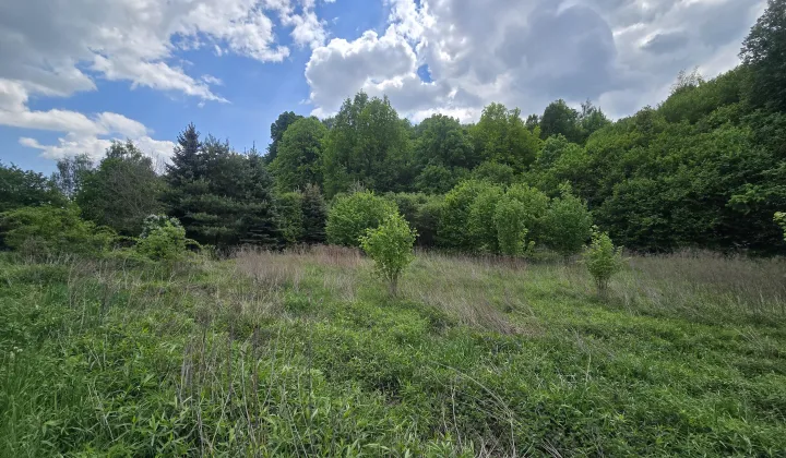 Działka rolno-budowlana Kunów, ul. Laski