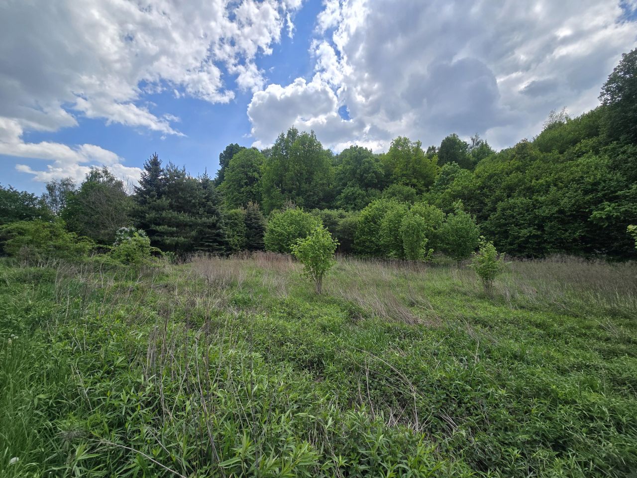 Działka rolno-budowlana Kunów, ul. Laski. Zdjęcie 2