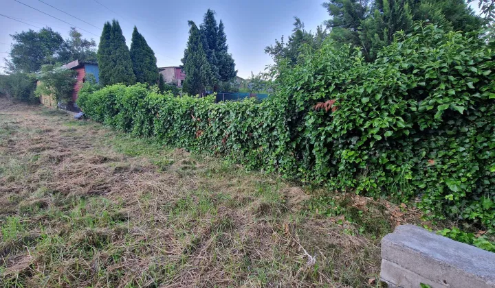 Działka rod Będzin Grodziec