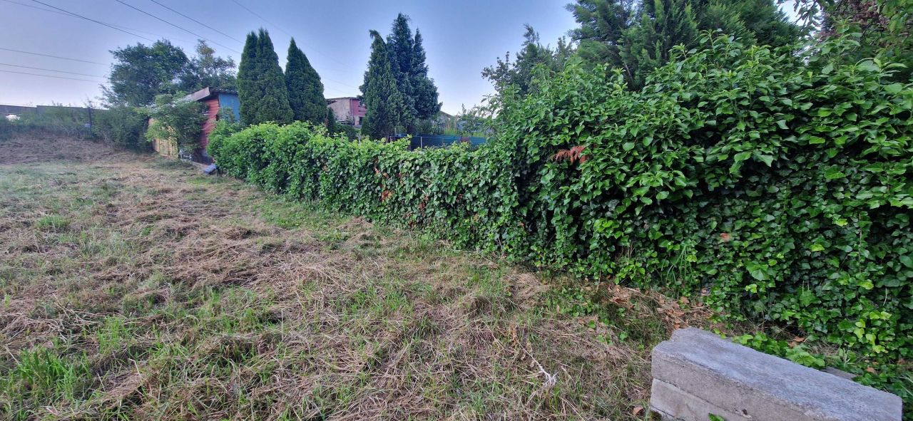 Działka rod Będzin Grodziec. Zdjęcie 1
