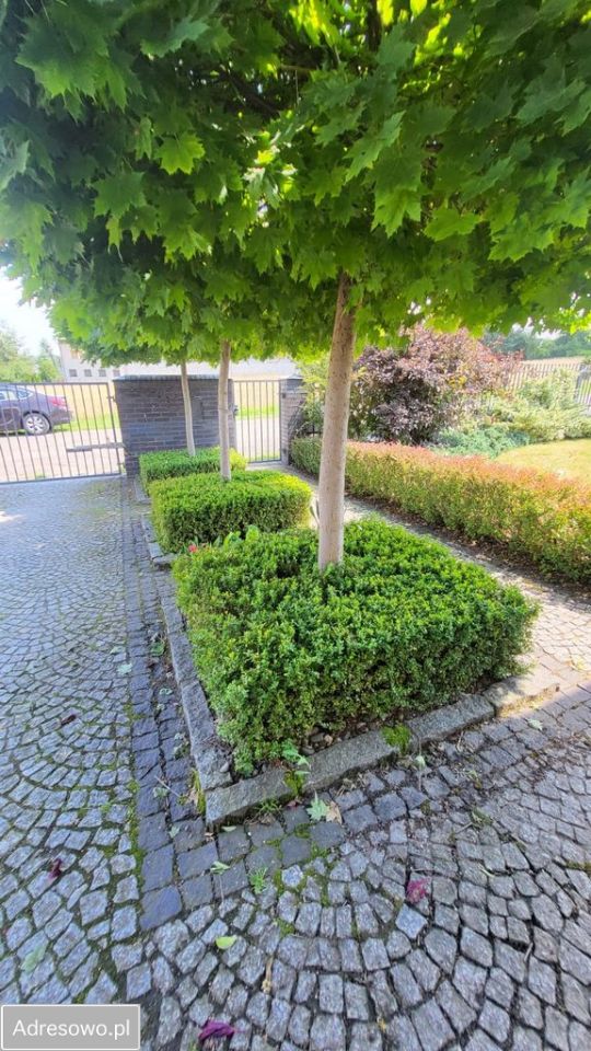 dom wolnostojący, 4 pokoje Mikołów, ul. Jasna. Zdjęcie 20