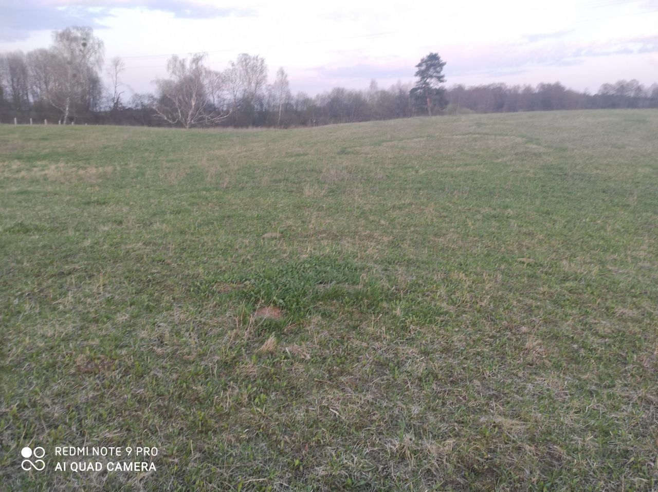 Działka rolna Rostki Skomackie. Zdjęcie 14