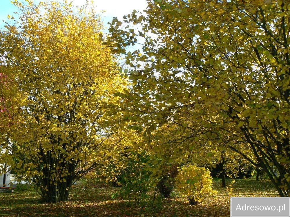 dom wolnostojący, 6 pokoi Łowinek Nowy Łowinek, ul. Jedności. Zdjęcie 9