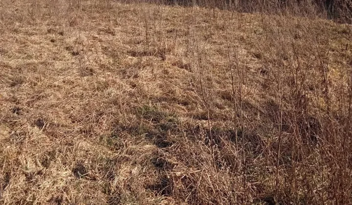 Działka budowlana Dęblin Masów, ul. Wiejska
