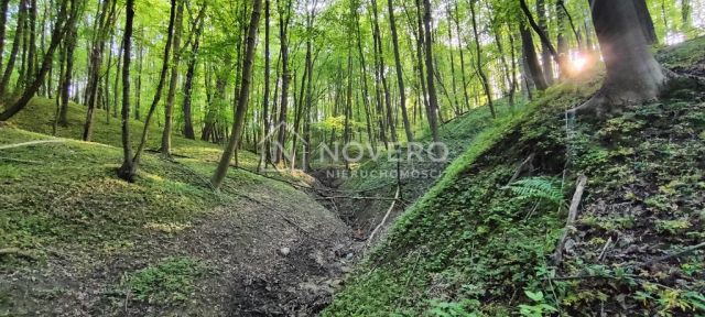 Działka budowlana Chmielnik. Zdjęcie 6
