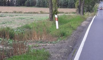 dom wolnostojący, 5 pokoi Ciachcin Nowy