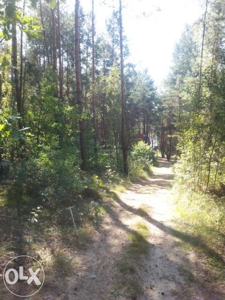 Działka rekreacyjna Chańcza. Zdjęcie 3