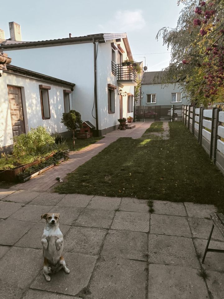 inny, 4 pokoje Warta Centrum, ul. Tadeusza Kościuszki. Zdjęcie 2