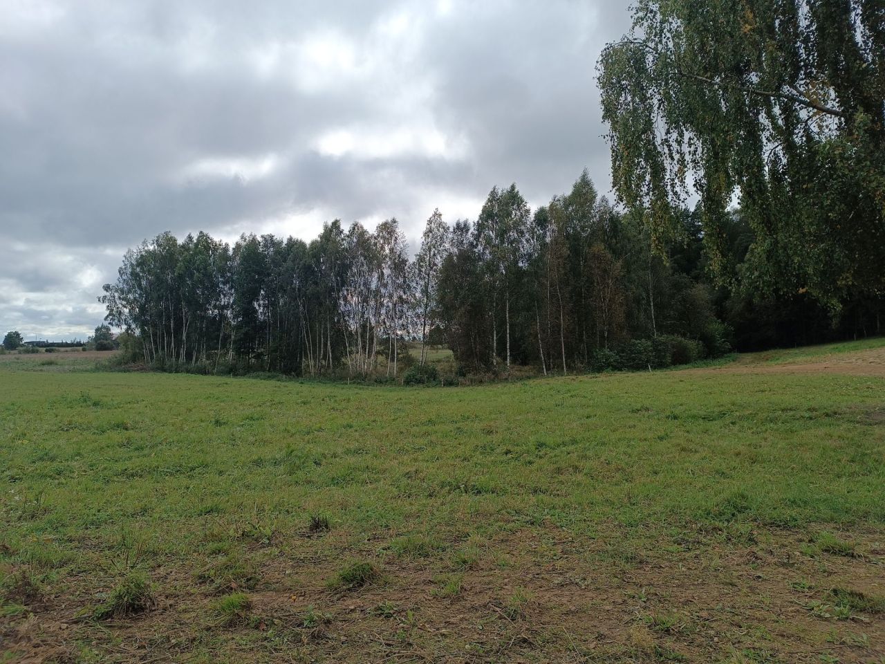 Działka rolno-budowlana Gradki. Zdjęcie 6