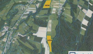 Działka leśna Wolica