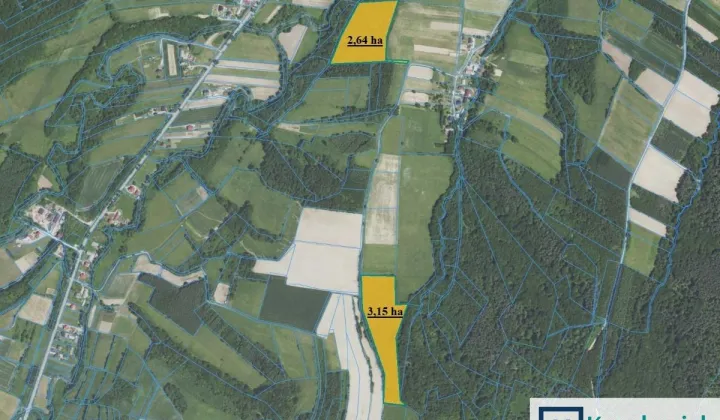 Działka leśna Wolica