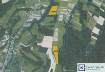 Działka leśna Wolica