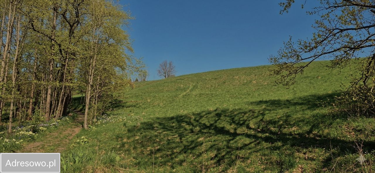 Działka budowlana Jodłów. Zdjęcie 8