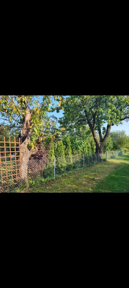 Działka rod Częstochowa Parkitka, ul. Mazowiecka. Zdjęcie 4