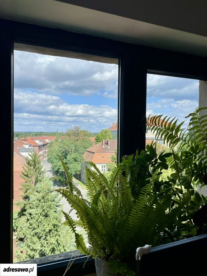 Mieszkanie 3-pokojowe Wrocław Szczepin, ul. Słubicka. Zdjęcie 19