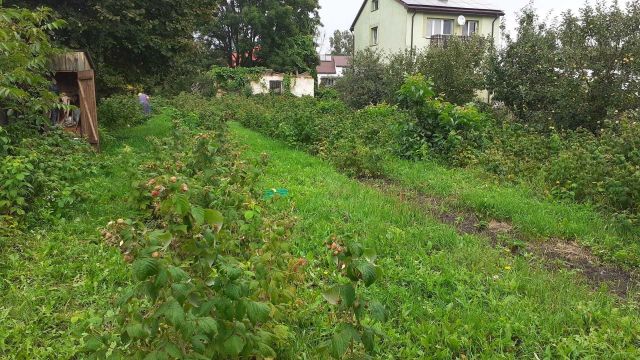 Działka rolno-budowlana Krasnystaw, ul. Kołowrót. Zdjęcie 1