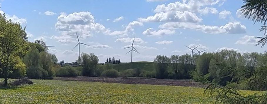 Działka siedliskowa Zielnowo. Zdjęcie 5