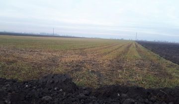 Działka rolno-budowlana Ilno