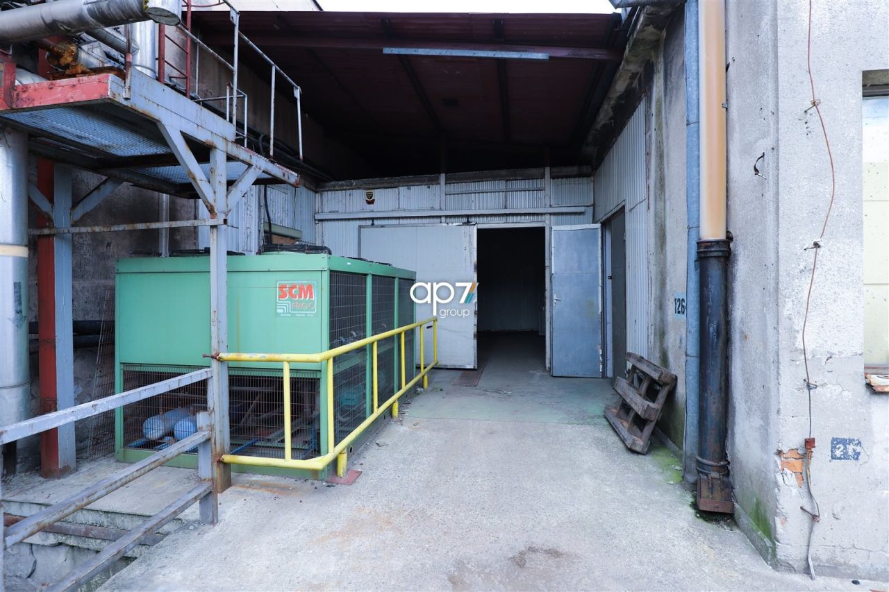 Hala/magazyn Kraków Podgórze. Zdjęcie 6