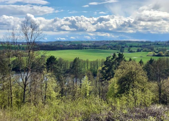 Działka rolna Zalec. Zdjęcie 1