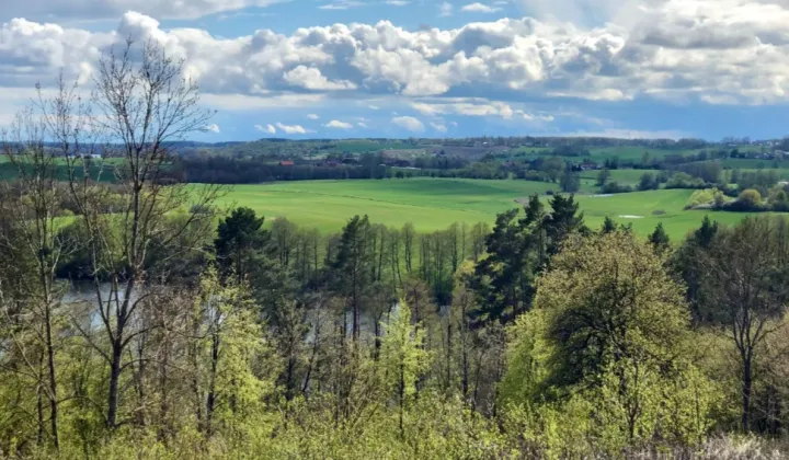 Działka rolna Zalec
