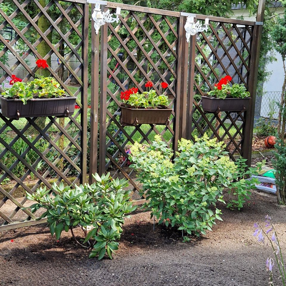 Działka rod Sierosław, ul. Leśna. Zdjęcie 8