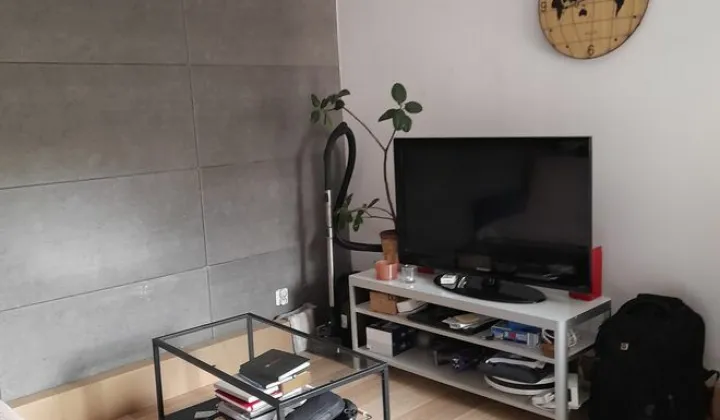 Mieszkanie 1-pokojowe Poznań Stare Miasto, ul. Krótka