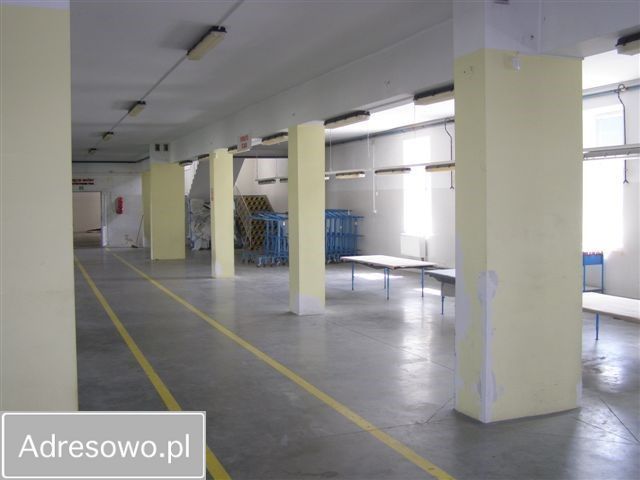 Hala/magazyn Głuchołazy, ul. Kolejowa. Zdjęcie 7