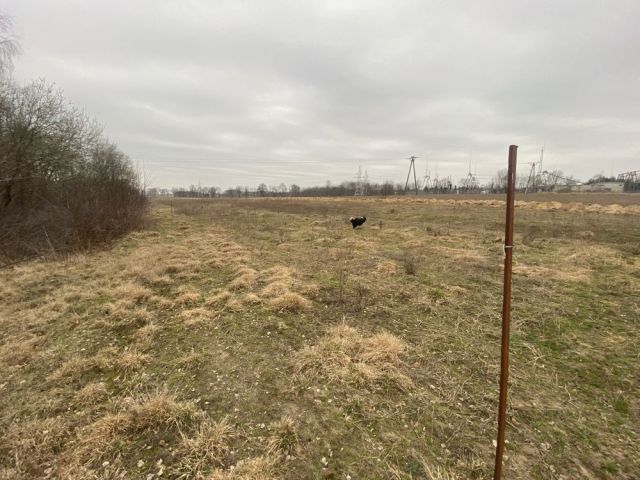 Działka budowlana Stryków, ul. Pszeniczna. Zdjęcie 1