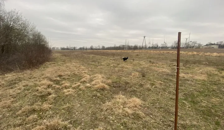 Działka budowlana Stryków, ul. Pszeniczna