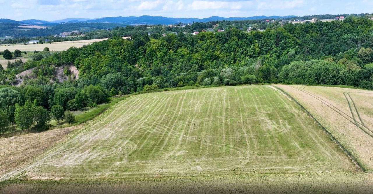 Działka rekreacyjna Wojciechowice. Zdjęcie 4