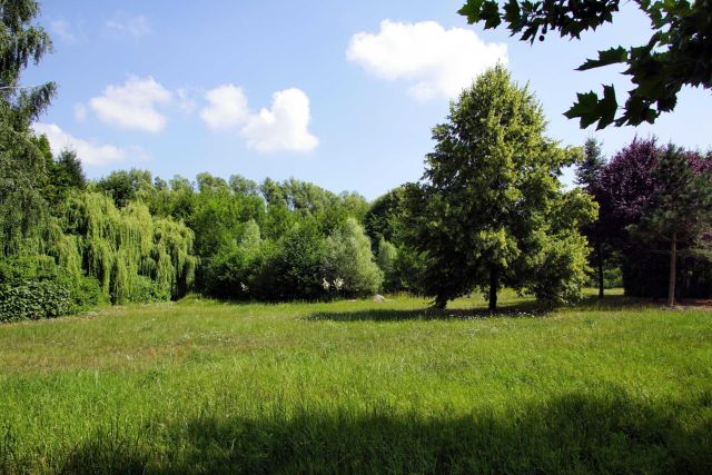 Działka budowlana Broniewice. Zdjęcie 1