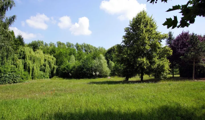 Działka budowlana Broniewice