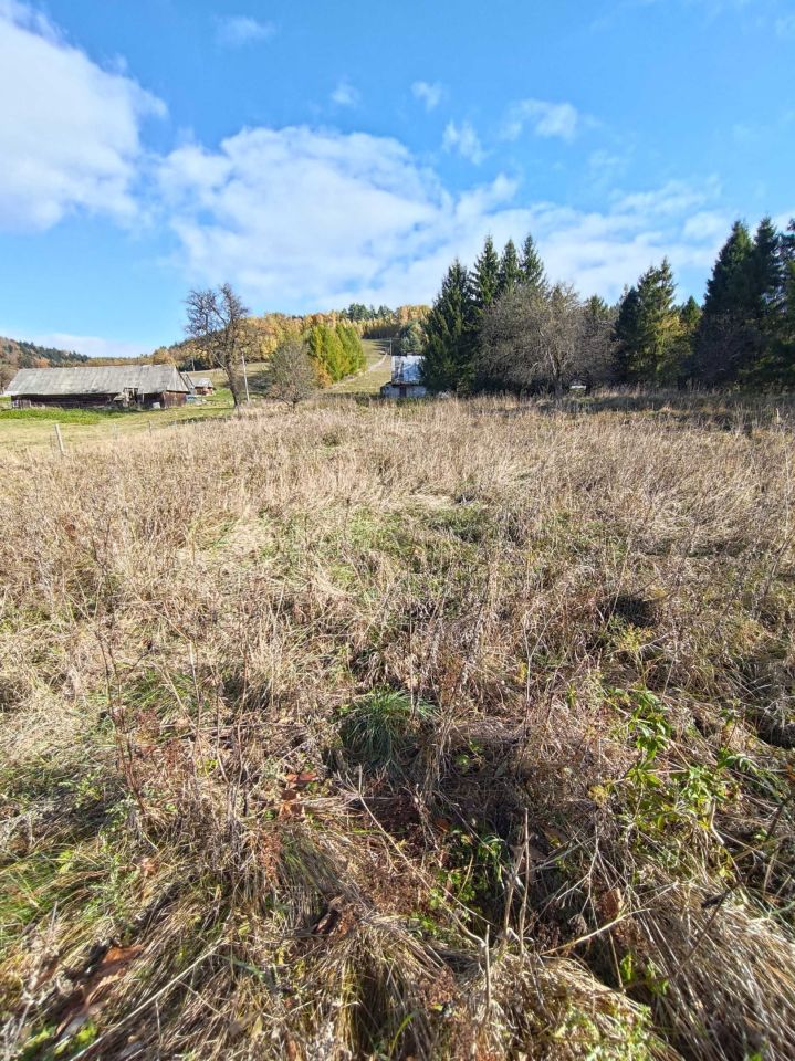 Działka rekreacyjna Zawadka. Zdjęcie 2