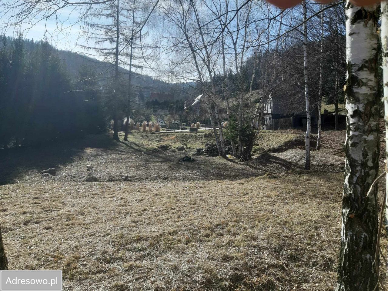 Działka budowlana Pieszyce Lasocin. Zdjęcie 8