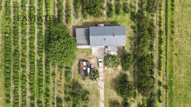 dom wolnostojący, 4 pokoje Świdno. Zdjęcie 24