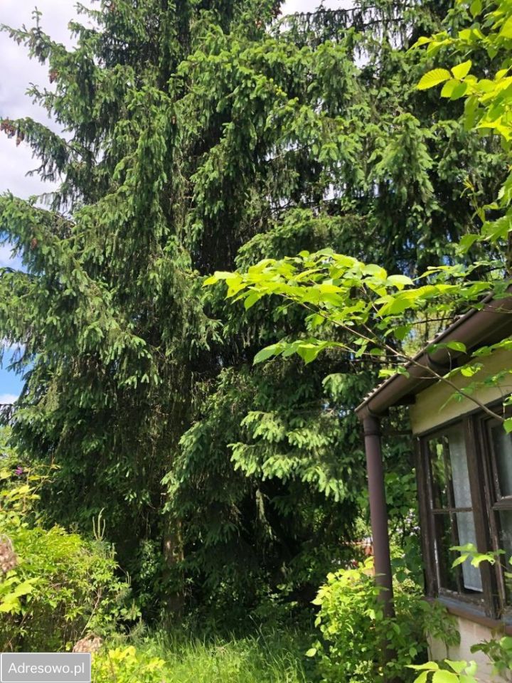 Działka budowlana Waliska. Zdjęcie 2