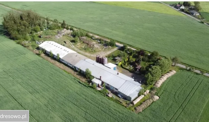 Hala/magazyn Kiełpiny