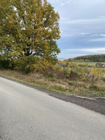 Działka budowlana Ostroszowice Myśliszów. Zdjęcie 1