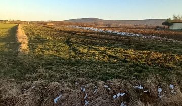 Działka rolno-budowlana Nowy Skoszyn, Nowy Skoszyn