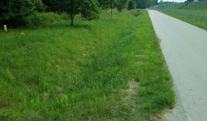 Działka siedliskowa Kajetanów